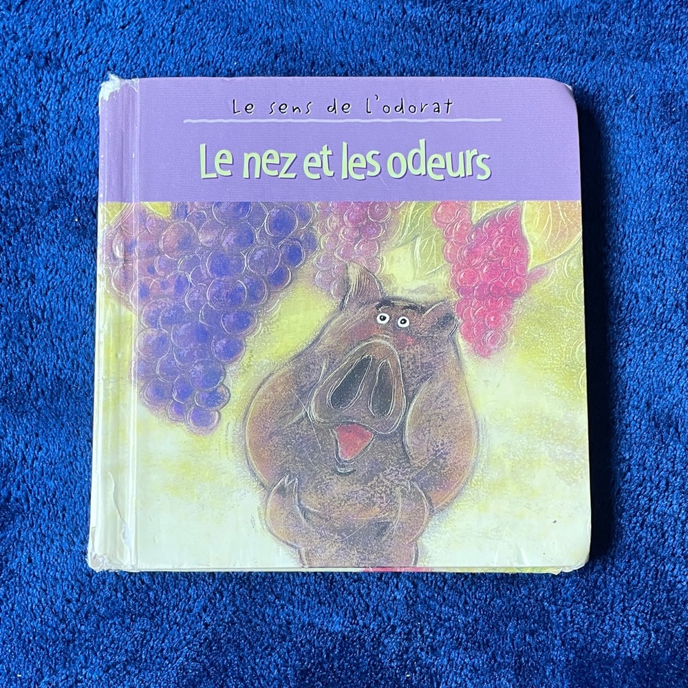Le nez et les odeurs Children's Book (French)